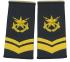 csb14.jpg (4260 bytes)