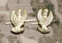 bci2s.jpg (2963 bytes)