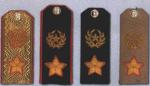 gen-arm-2s.jpg (5506 bytes)