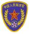 chp59s.jpg (4043 bytes)