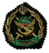 iran32s.jpg (60991 bytes)